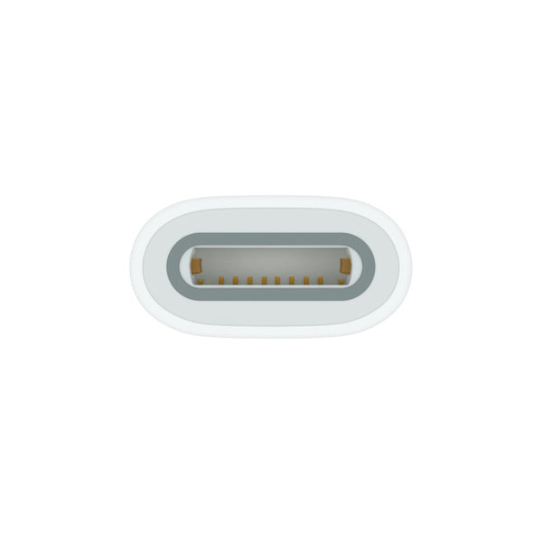 Adaptador de USB-C para Pencil