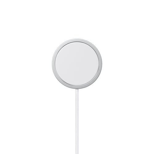Cable USB-C a MagSafe charger de 1.0 Mt Apple