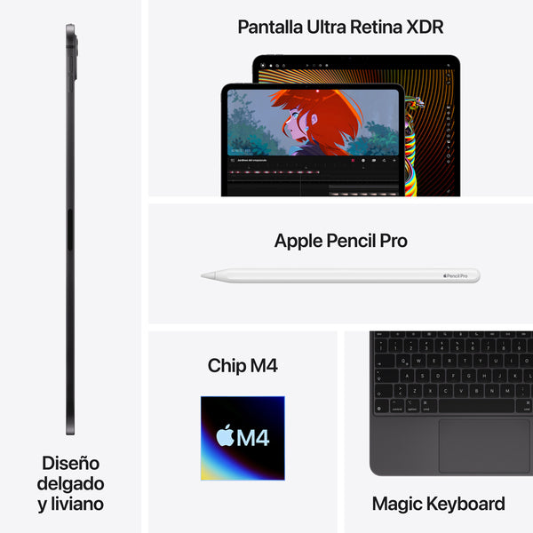 iPad Pro 11 M4 pantalla estandar