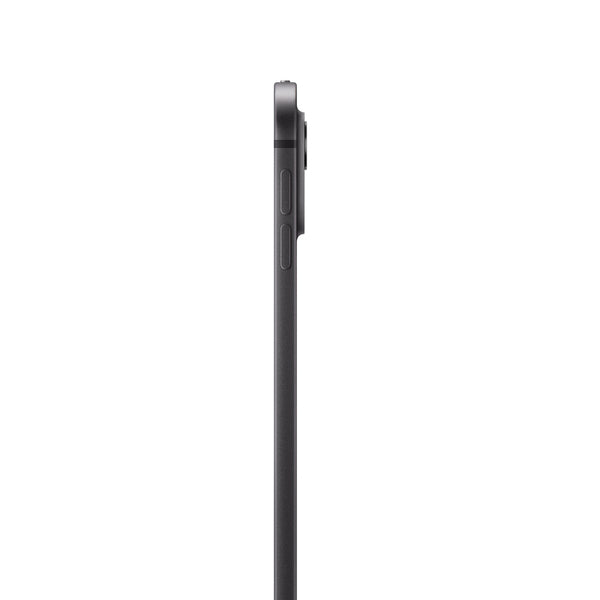 iPad Pro 13 M4 pantalla estandar
