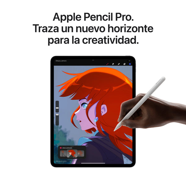 iPad Pro 13 M4 pantalla estandar