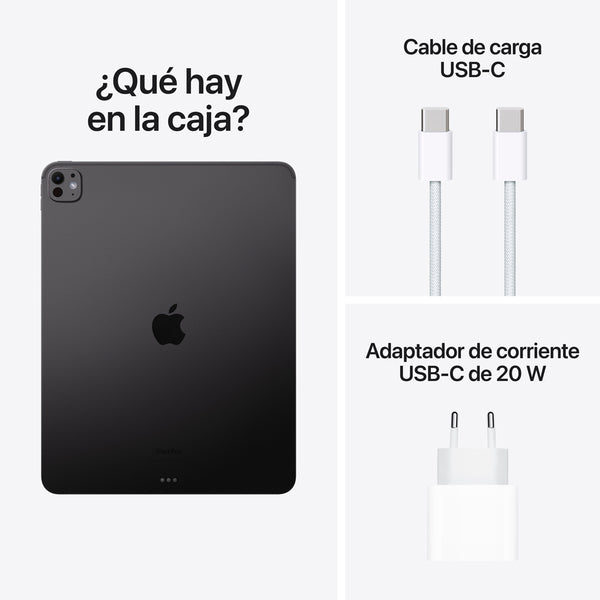 iPad Pro 13 M4 pantalla estandar