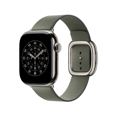 Banda Apple Watch 42mm Sage Gray Modern Buckle