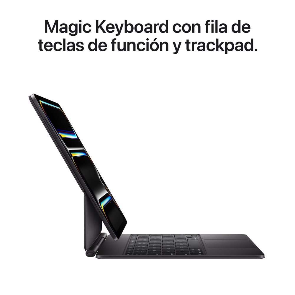 iPad Pro 11 M5 pantalla estandar
